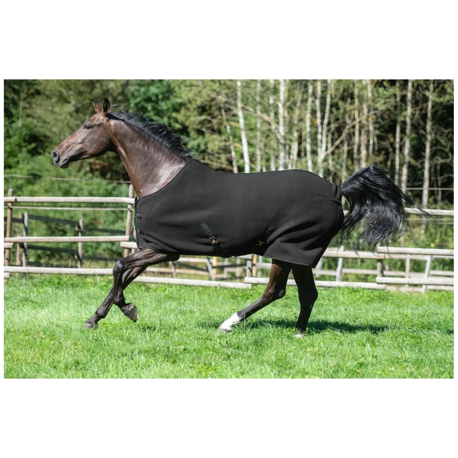 RIDE now Pferdedecken|Transportdecken<Abschwitzdecke Luton