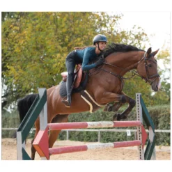 Damen RIDE now Reithosen<Grip-Vollbesatz-Reithose