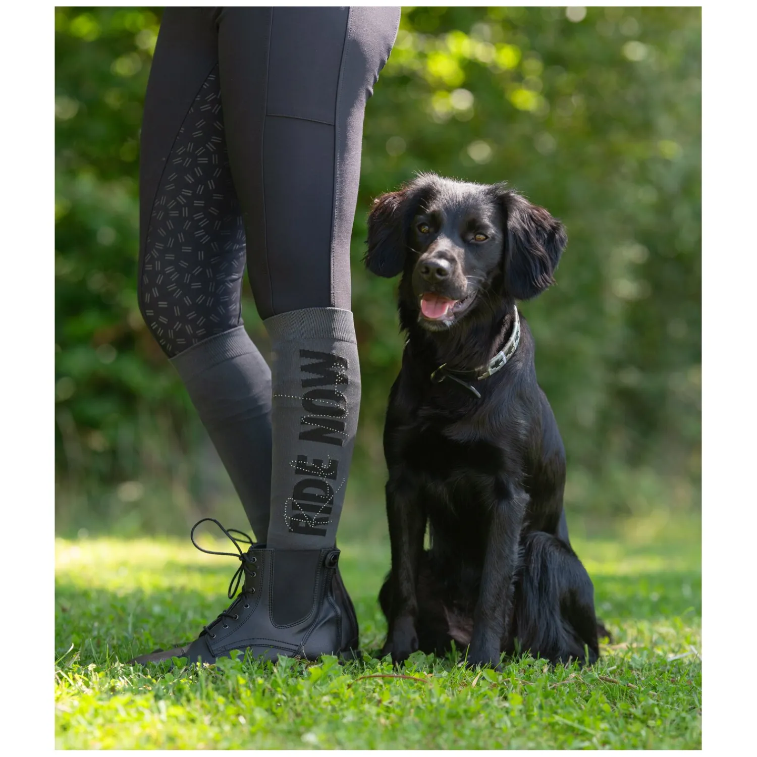 RIDE now Reitsocken<Thinsocks mit Glitzerschriftzug