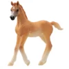 Loesdau Geschenke Für Reiter<Schleich HORSE CLUB Araber Fohlen