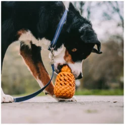 Loesdau Hundespielzeug<SPRENGER Hundespielzeug FRUIT CHALLENCE - Ananas