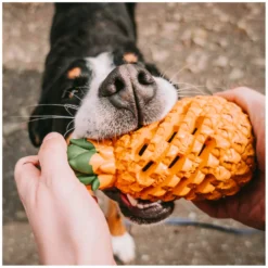 Loesdau Hundespielzeug<SPRENGER Hundespielzeug FRUIT CHALLENCE - Ananas