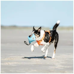 SPRENGER Hundespielzeug<Hundepielzeug Kien