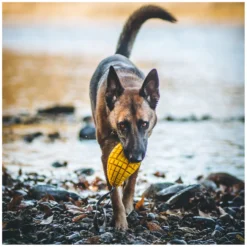 Loesdau Hundespielzeug<PRENGER Hundepiezeug ango