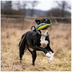 Loesdau Hundespielzeug<SPRENGER Hundespielzeug Soft Bringsel