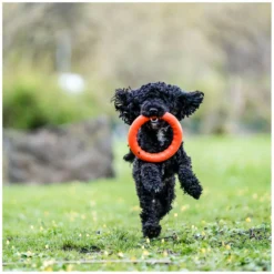 SPRENGER Hundespielzeug<Wurfring