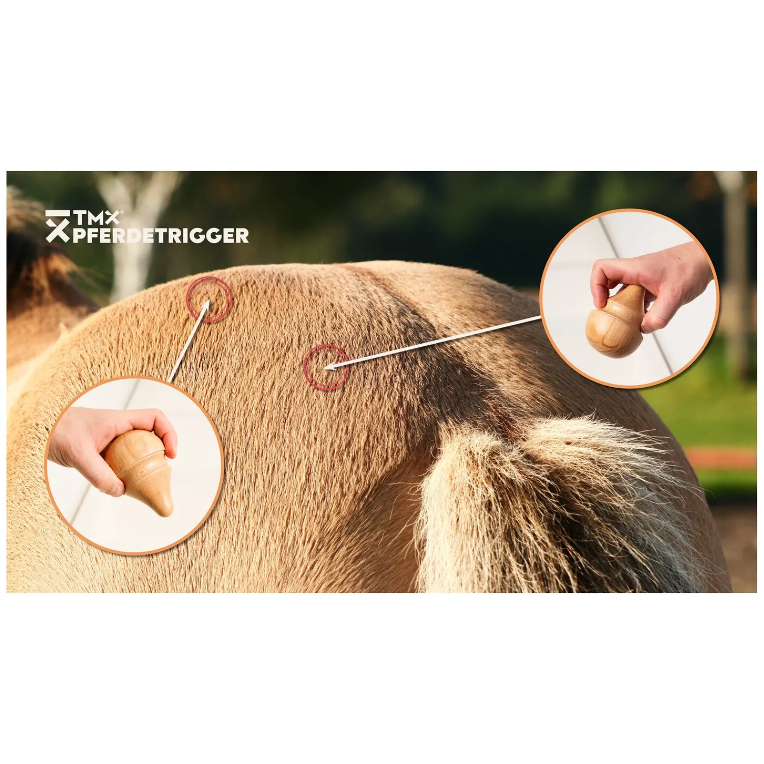 Loesdau Abkühlen Und Regenerieren|Therapie<TMX Pferdetrigger