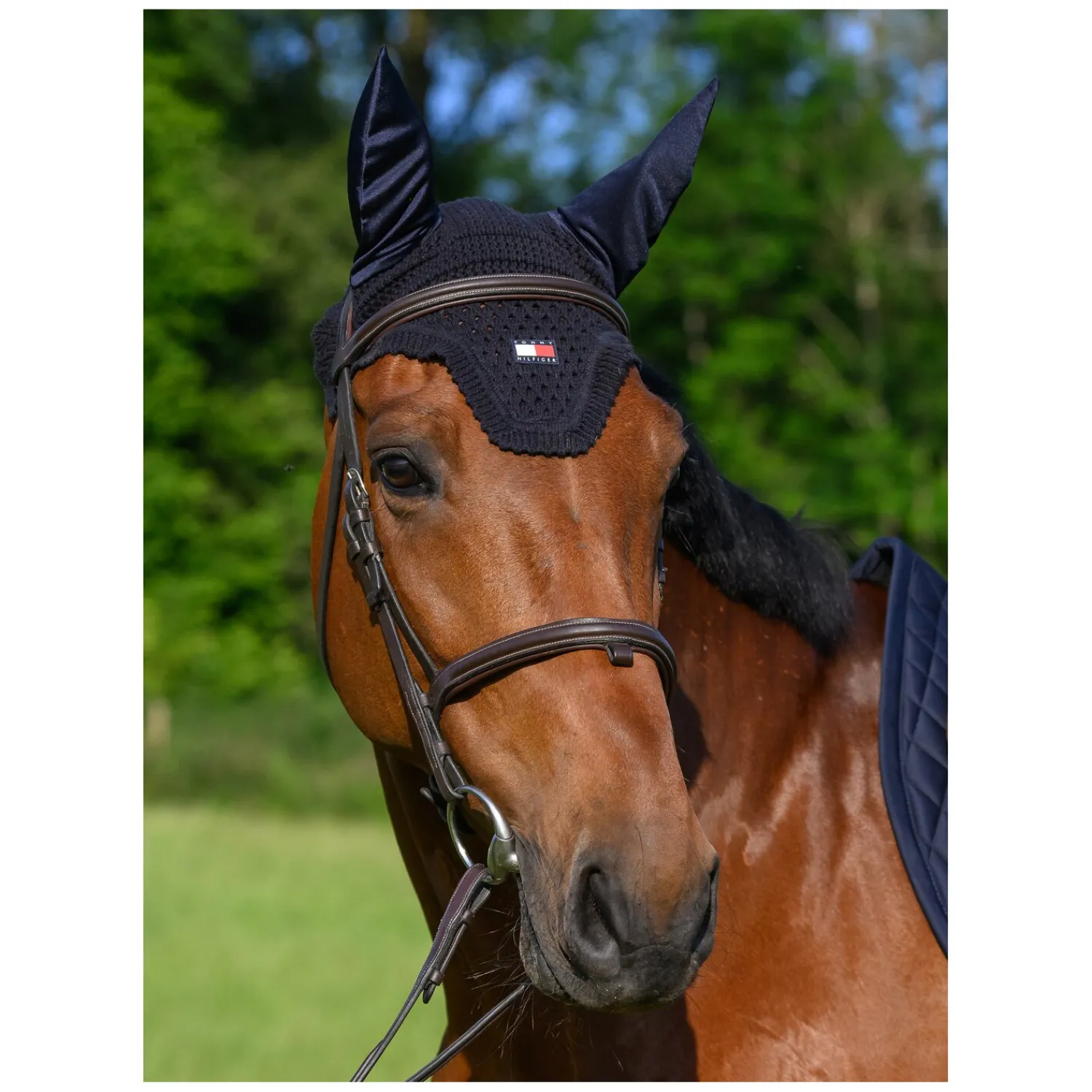 TOMMY HILFIGER EQUESTRIAN Fliegenhauben<Fliegenhaube Lexington