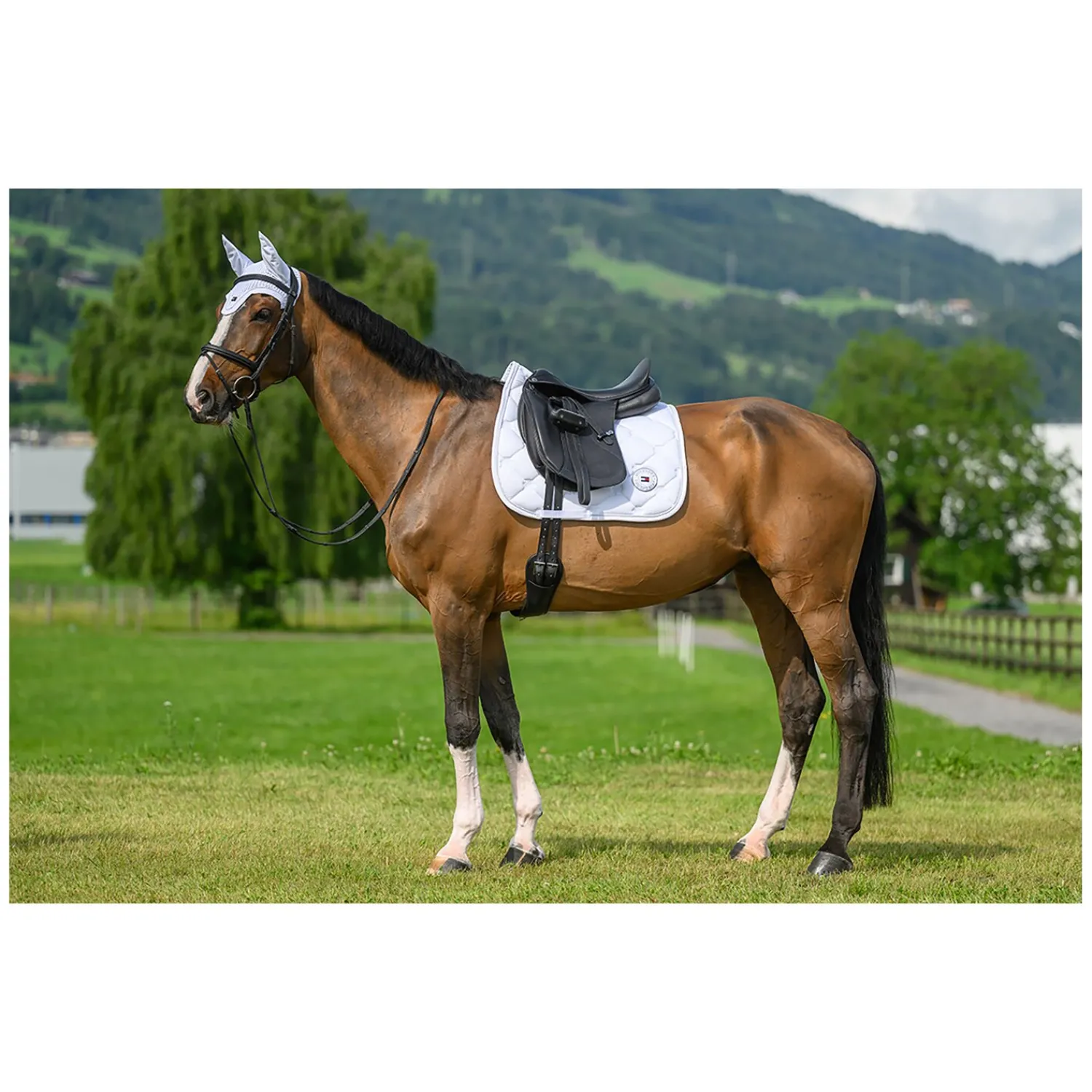 Loesdau Fliegenhauben<TOMMY HILFIGER EQUESTRIAN Fliegenhaube Liberty