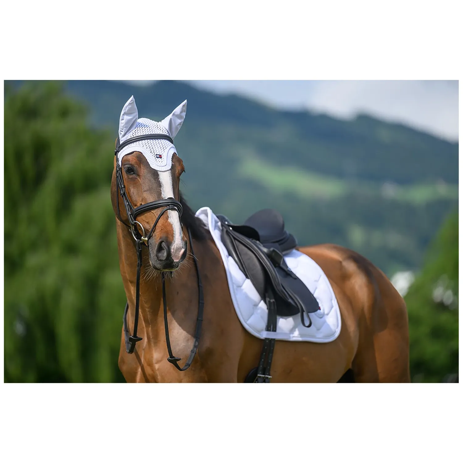 Loesdau Fliegenhauben<TOMMY HILFIGER EQUESTRIAN Fliegenhaube Liberty
