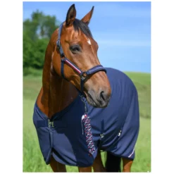 TOMMY HILFIGER EQUESTRIAN Halfter|Führstricke<Halfter mit Führstrick Lexington