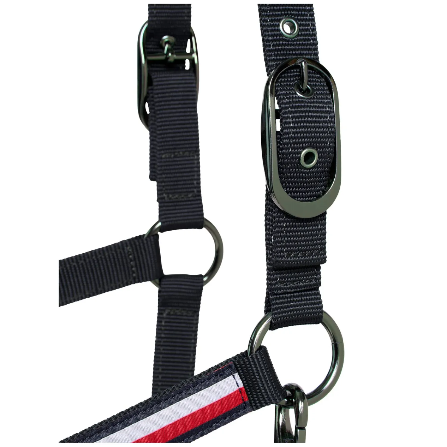 TOMMY HILFIGER EQUESTRIAN Halfter|Führstricke<Halfter mit Führstrick Lexington