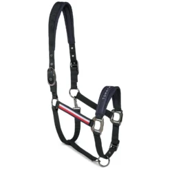 TOMMY HILFIGER EQUESTRIAN Halfter|Führstricke<Halfter mit Führstrick Lexington