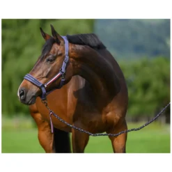 TOMMY HILFIGER EQUESTRIAN Halfter|Führstricke<Halfter mit Führstrick Lexington