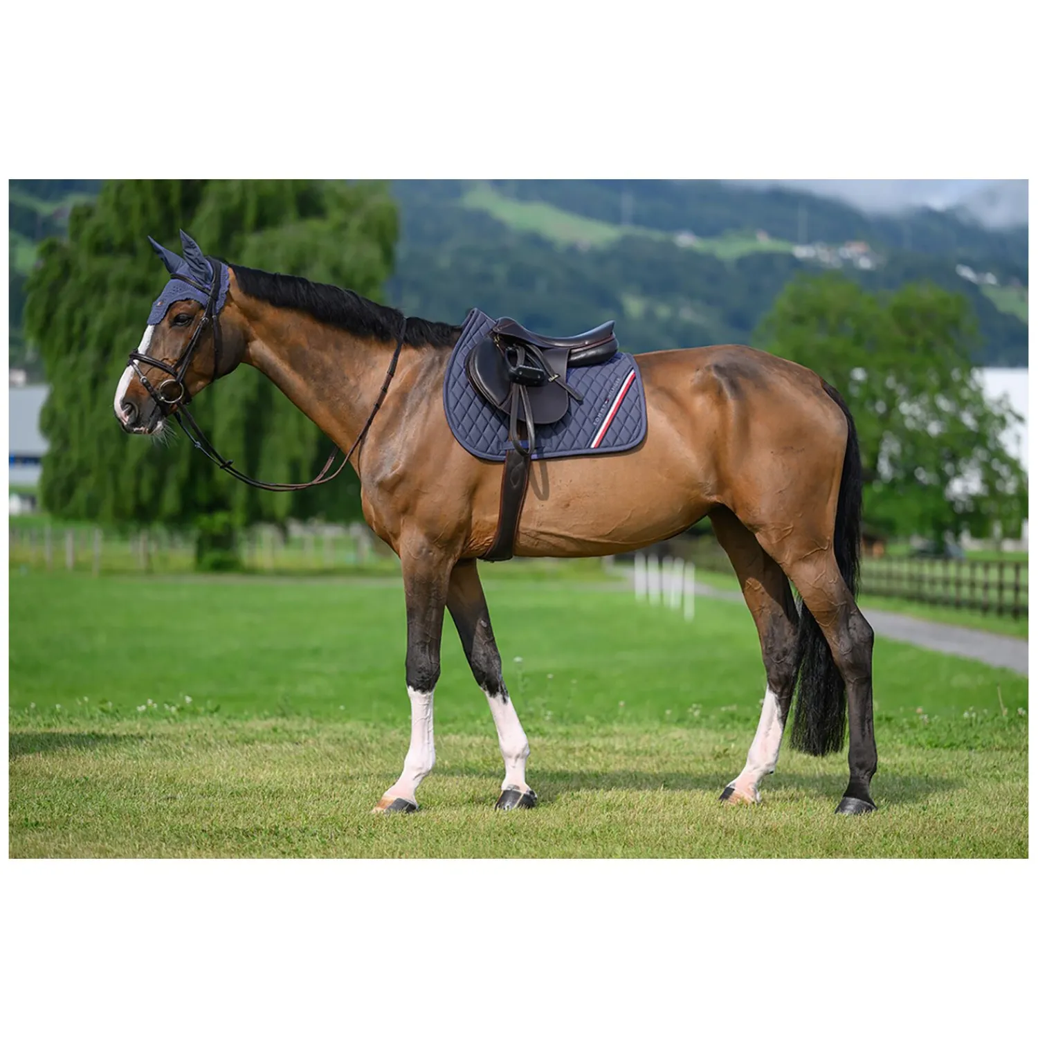 TOMMY HILFIGER EQUESTRIAN Sättel & Zubehör|Schabracken<Schabracke Stanford