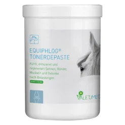 Loesdau Abkühlen Und Regenerieren<VALETUMED Eqiuphlog Tonerde-Paste