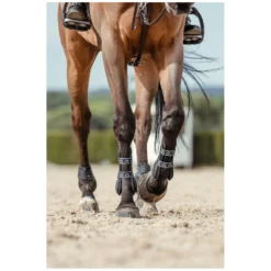 VEREDUS Gamaschen<Springgaaschen Carbon Ge Vento, für die Vorderbeine