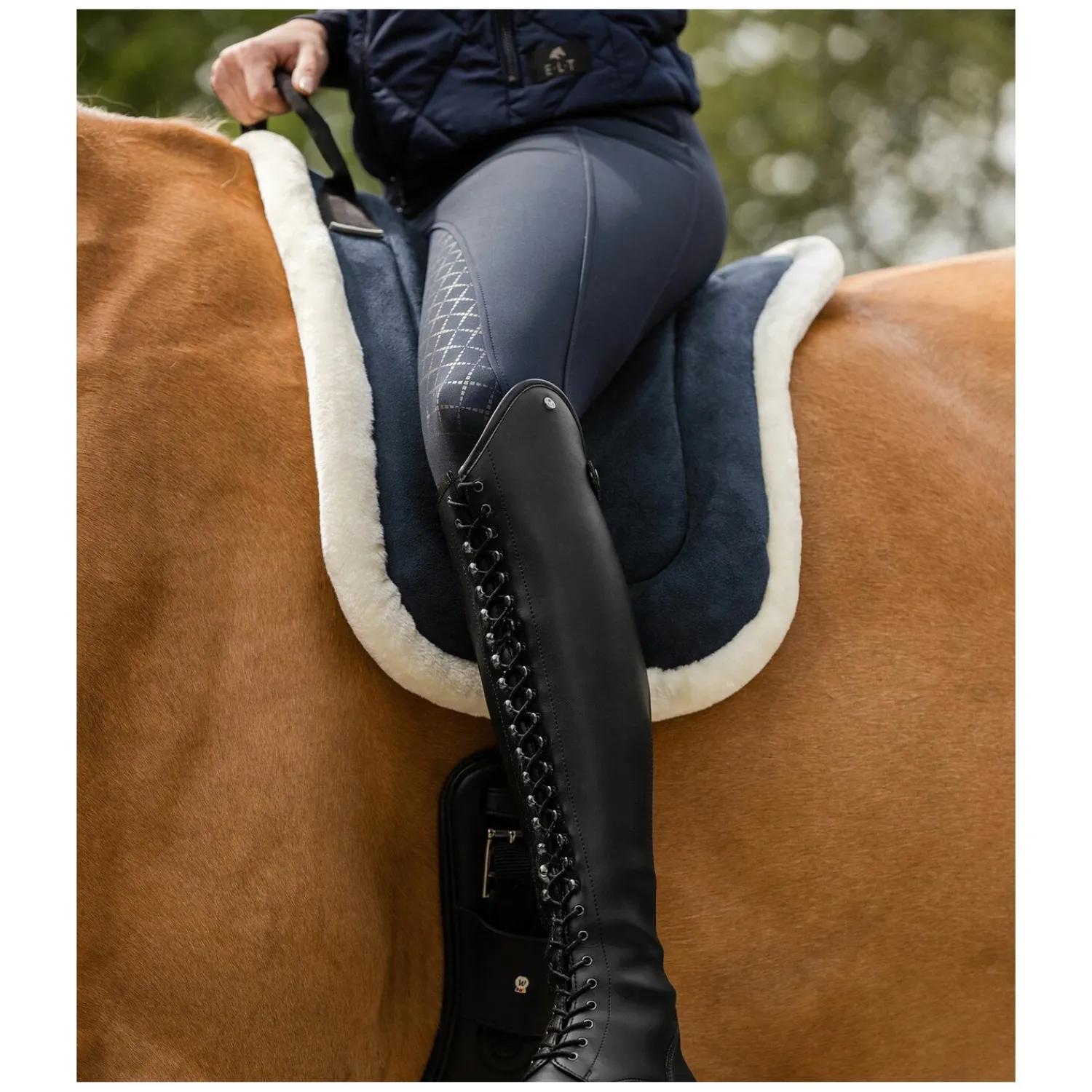 WALDHAUSEN Sättel & Zubehör|Sättel<Reitpad Soft
